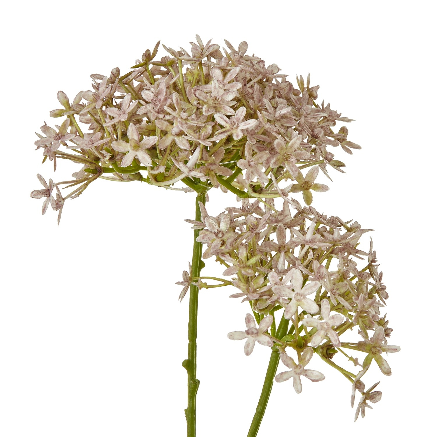 Lilac Crown Hydrangea Stem - Skandi London