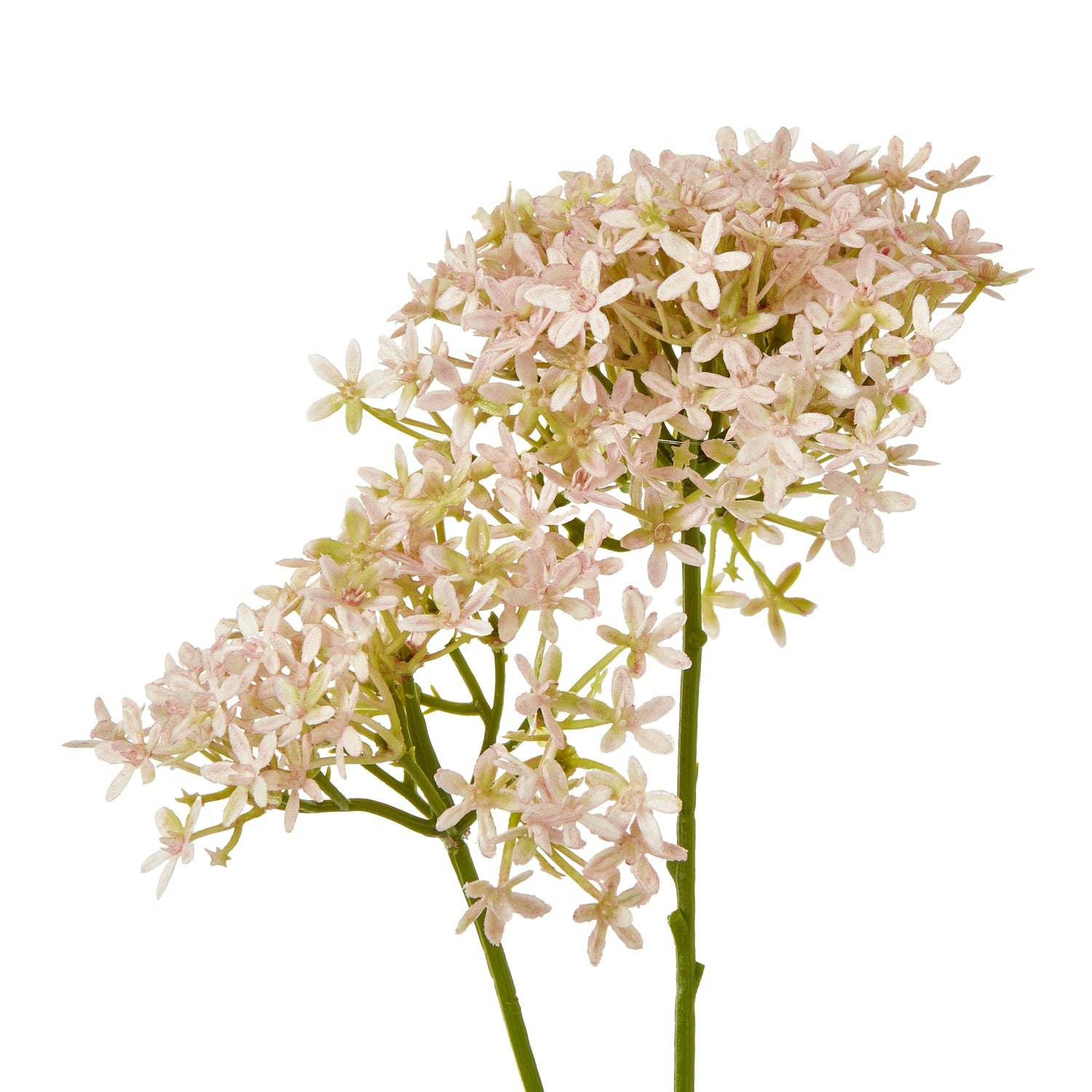 Pink Crown Hydrangea Stem - Skandi London