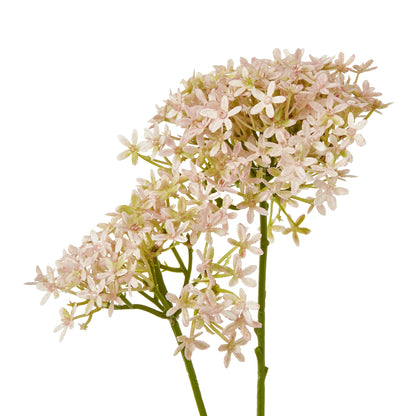 Pink Crown Hydrangea Stem - Skandi London