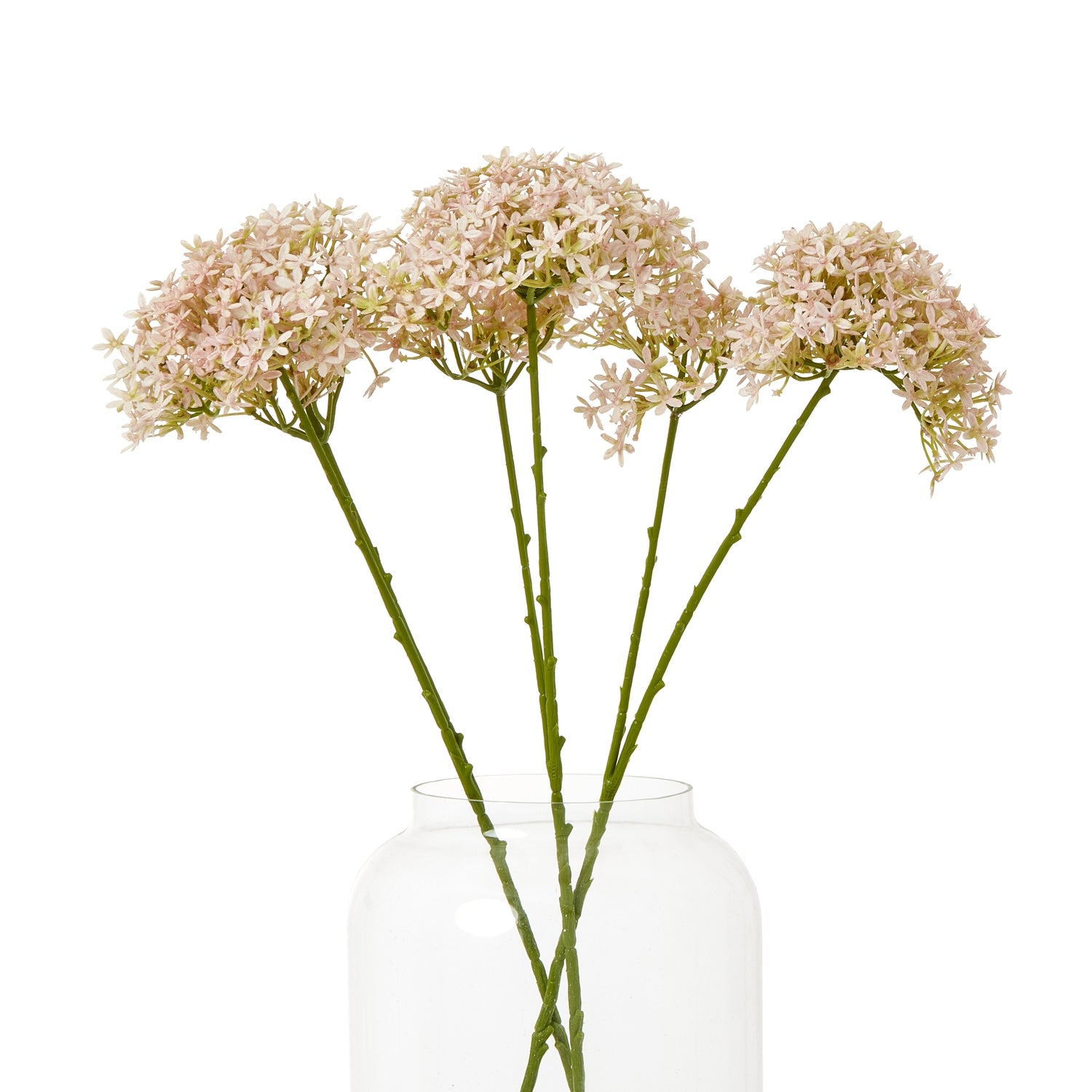 Pink Crown Hydrangea Stem - Skandi London
