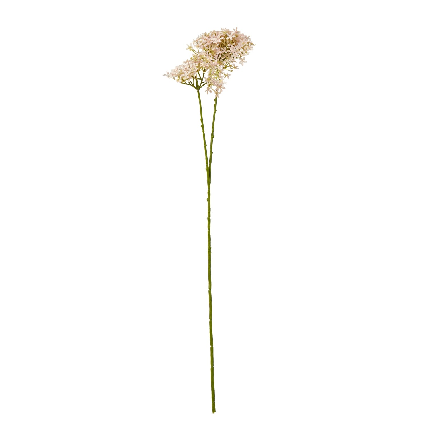 Pink Crown Hydrangea Stem - Skandi London