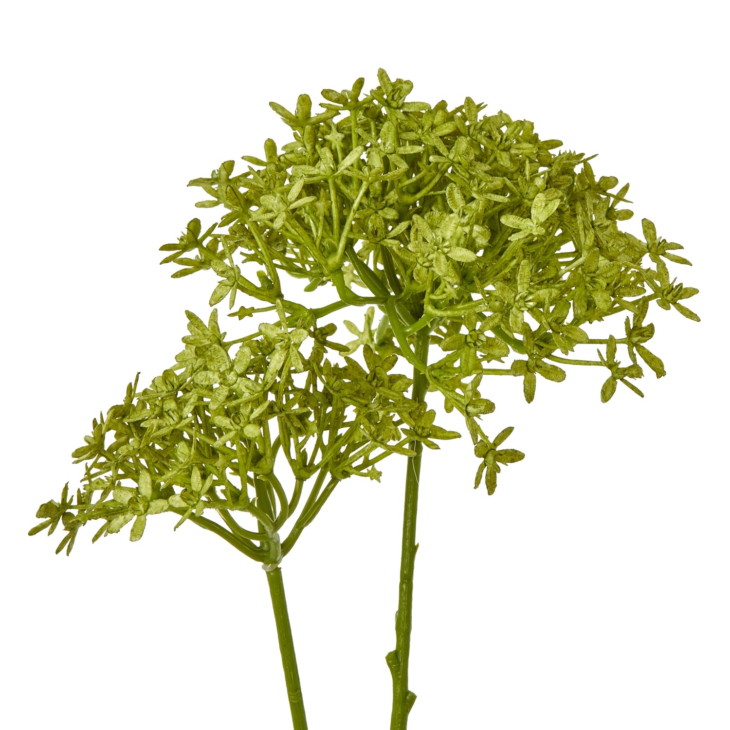 Green Crown Hydrangea Stem - Skandi London