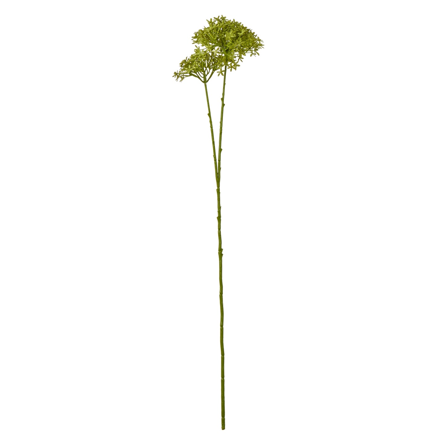 Green Crown Hydrangea Stem - Skandi London