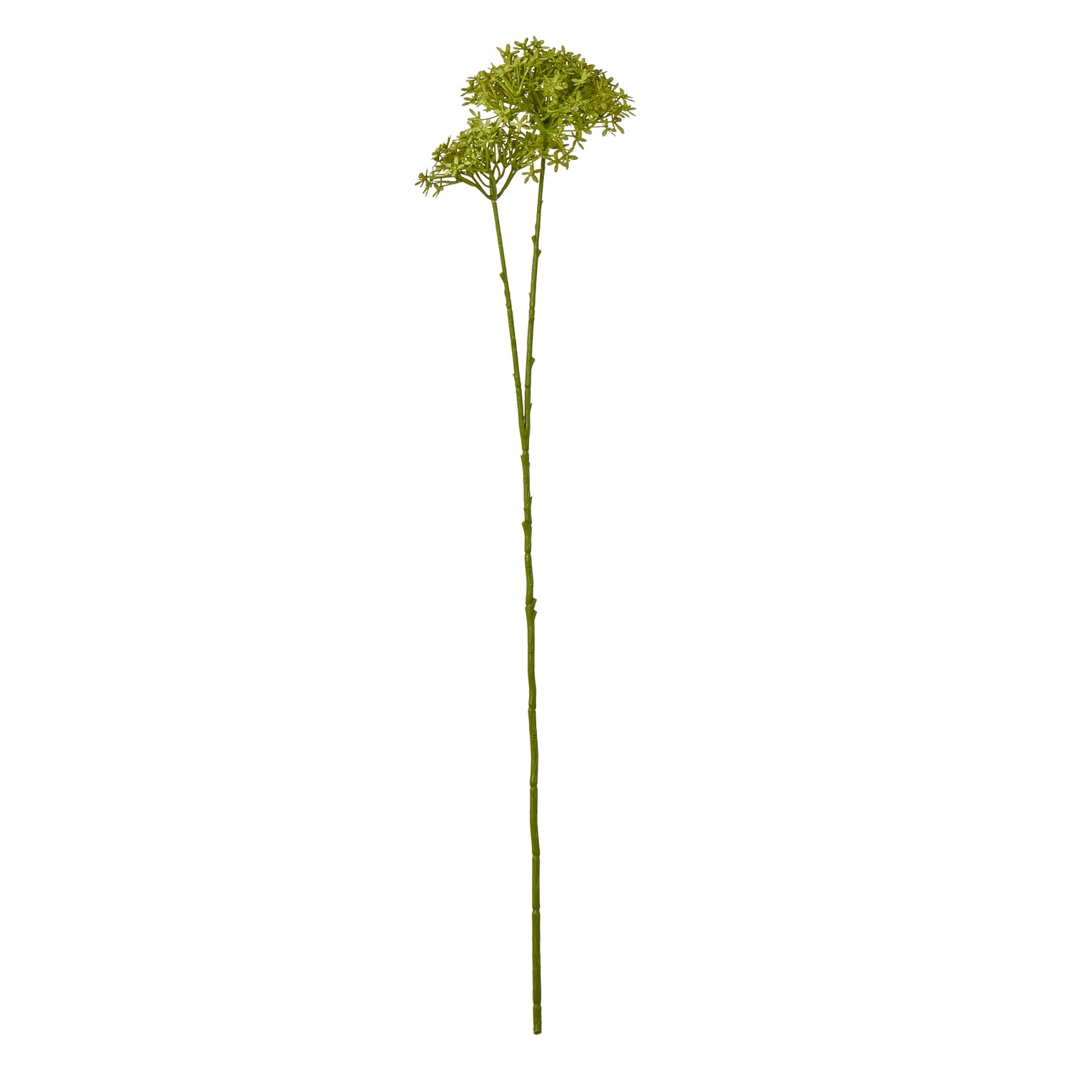 Green Crown Hydrangea Stem - Skandi London