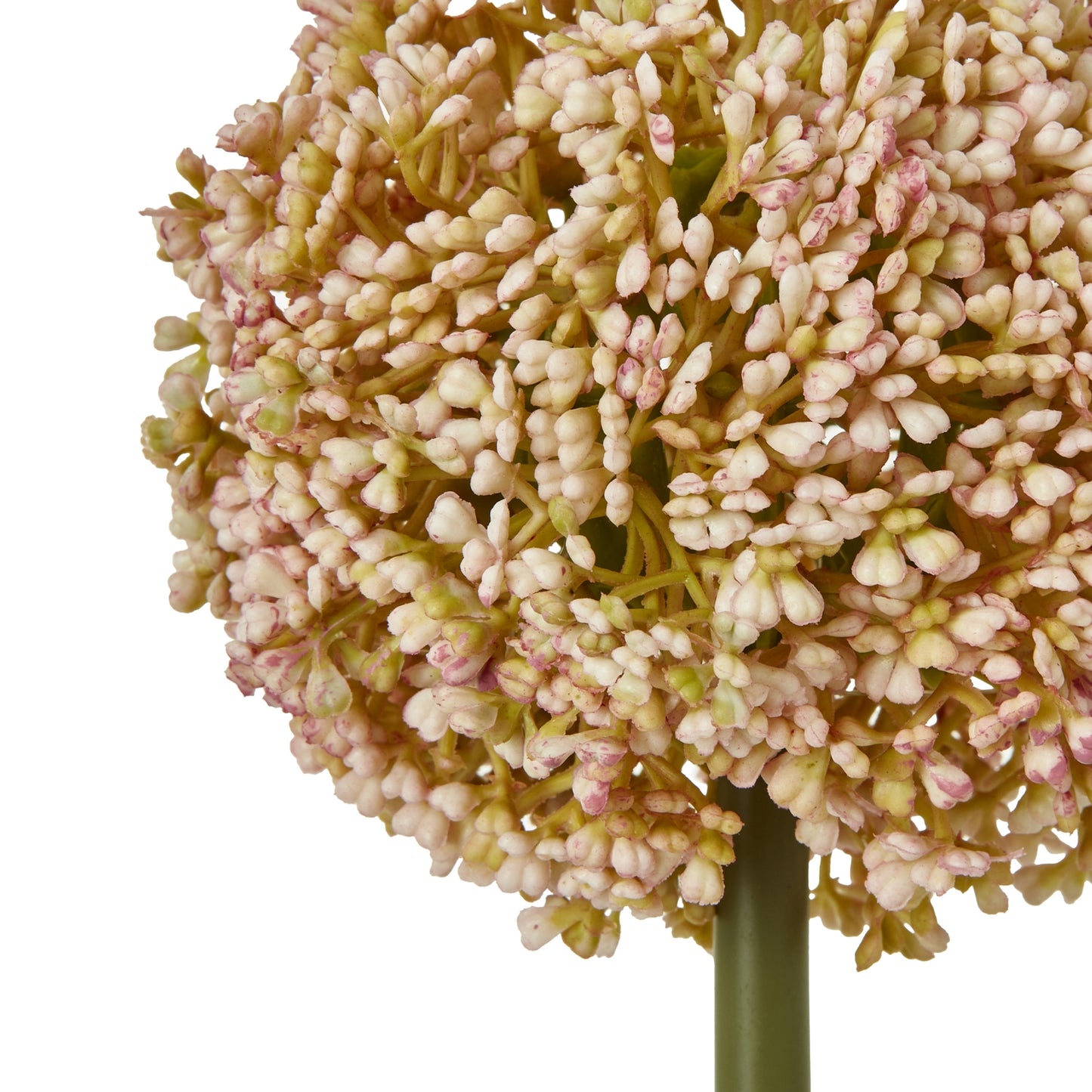 Pink Allium Stem - Skandi London
