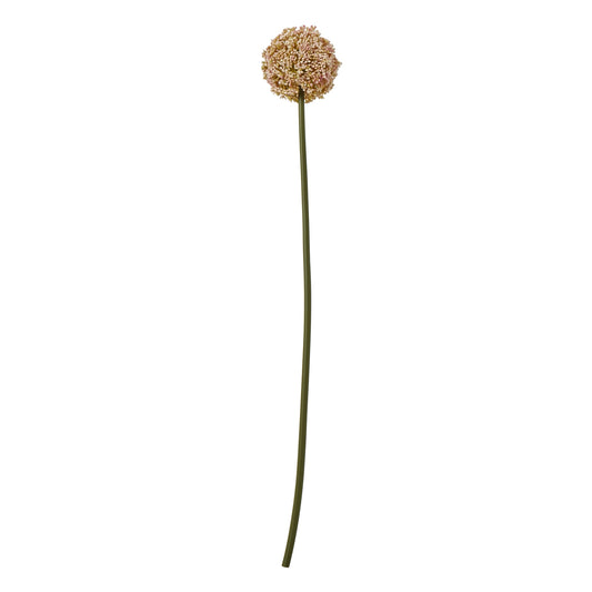 Pink Allium Stem - Skandi London