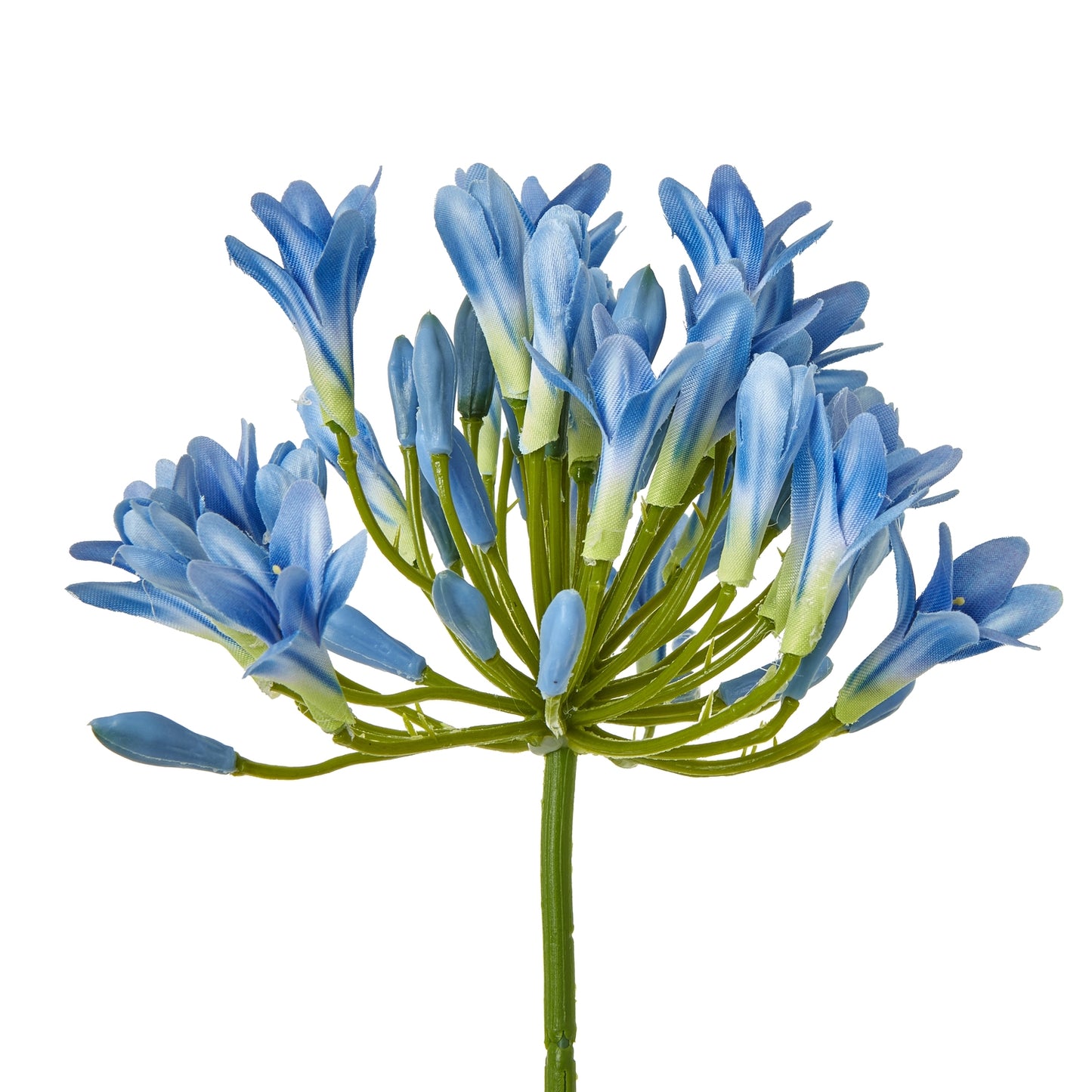 Blue Agapanthus Stem - Skandi London
