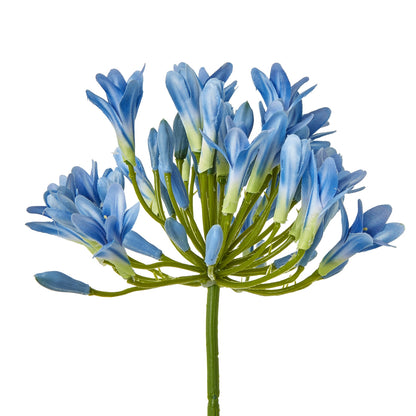 Blue Agapanthus Stem - Skandi London