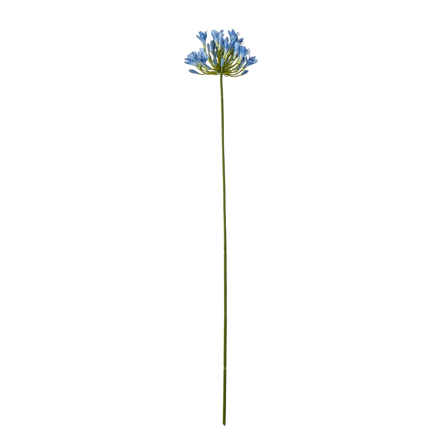 Blue Agapanthus Stem - Skandi London