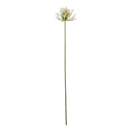 Cream Agapanthus Spray - Skandi London