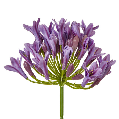Lilac Agapanthus Spray - Skandi London