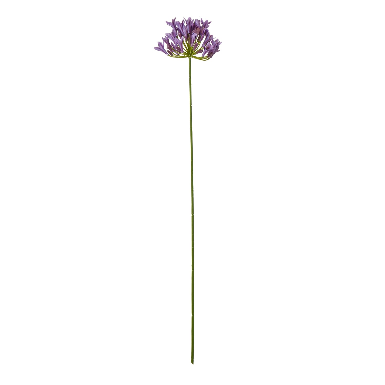 Lilac Agapanthus Spray - Skandi London