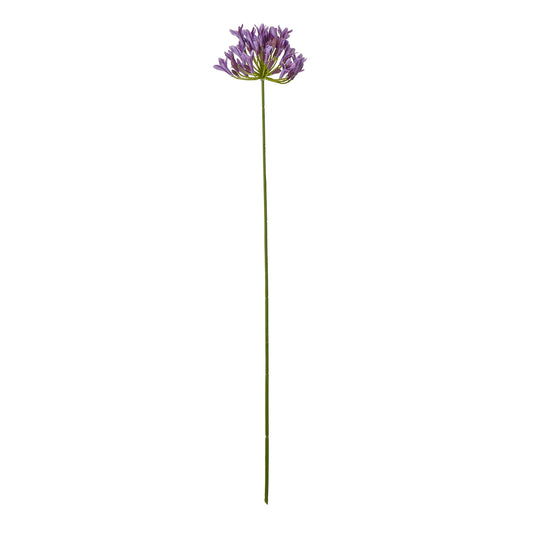 Lilac Agapanthus Spray - Skandi London
