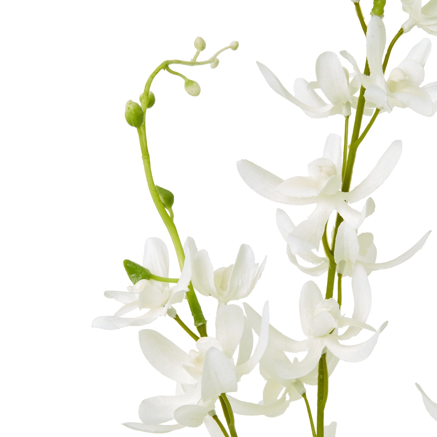 White Cymbidium Spray - Skandi London