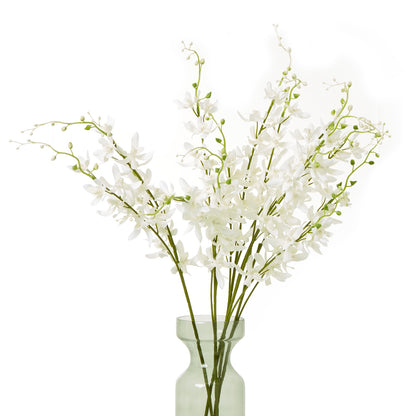 White Cymbidium Spray - Skandi London