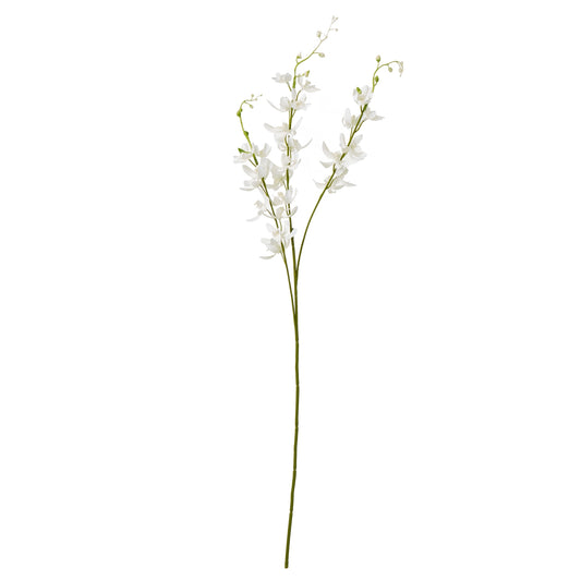 White Cymbidium Spray - Skandi London