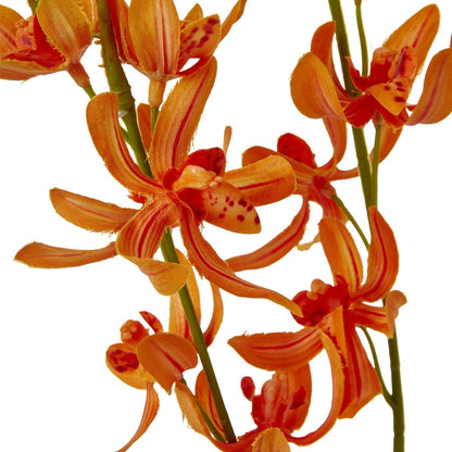 Orange Cymbidium Spray - Skandi London
