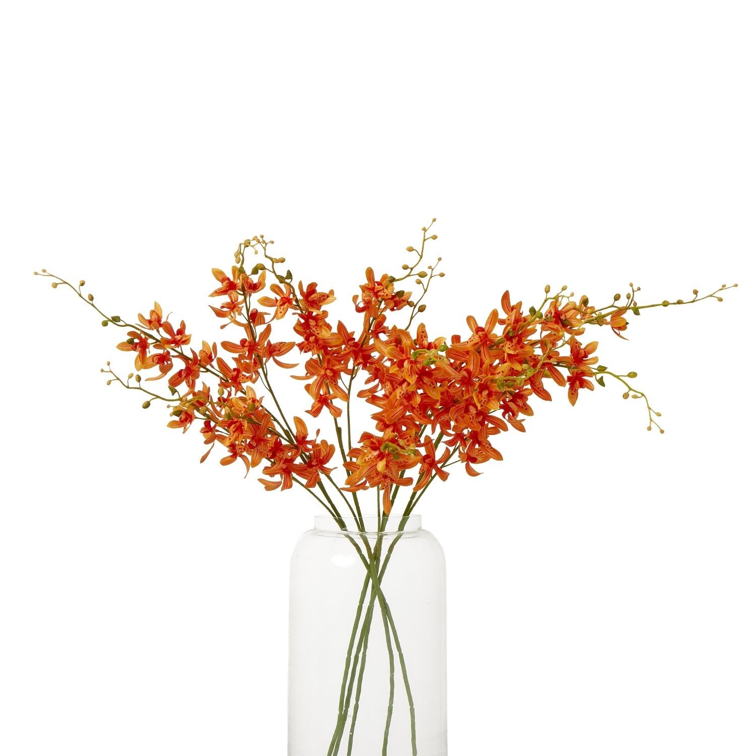 Orange Cymbidium Spray - Skandi London