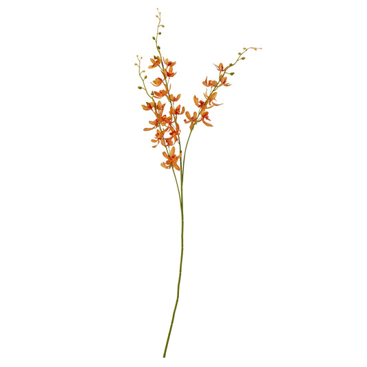 Orange Cymbidium Spray - Skandi London