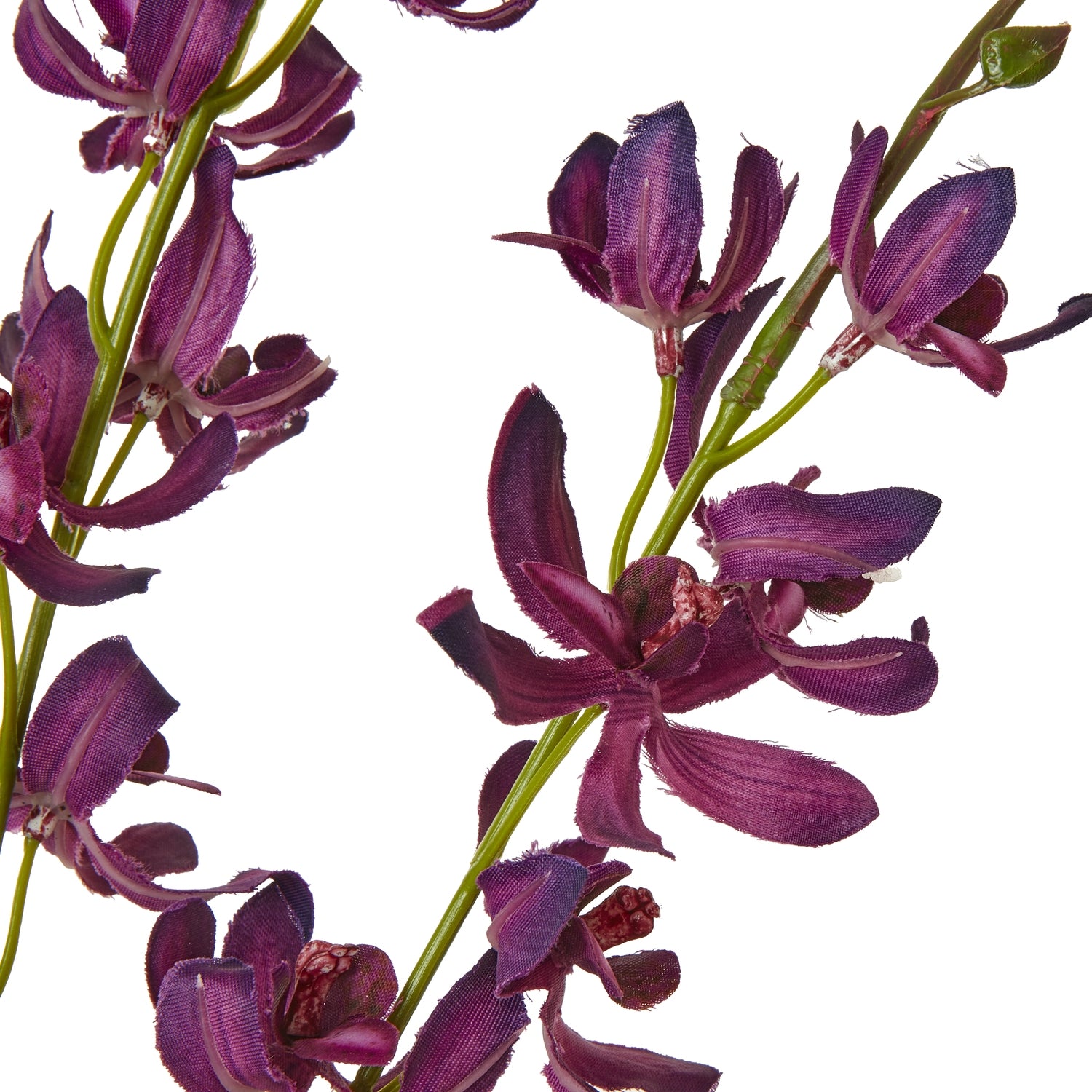 Purple Cymbidium Spray - Skandi London