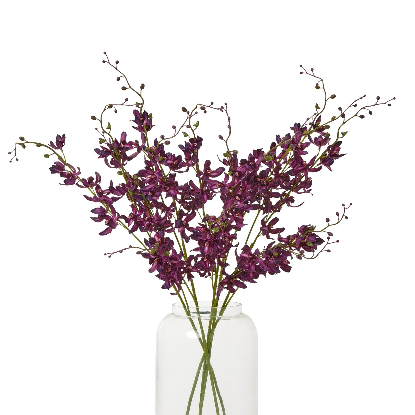 Purple Cymbidium Spray - Skandi London