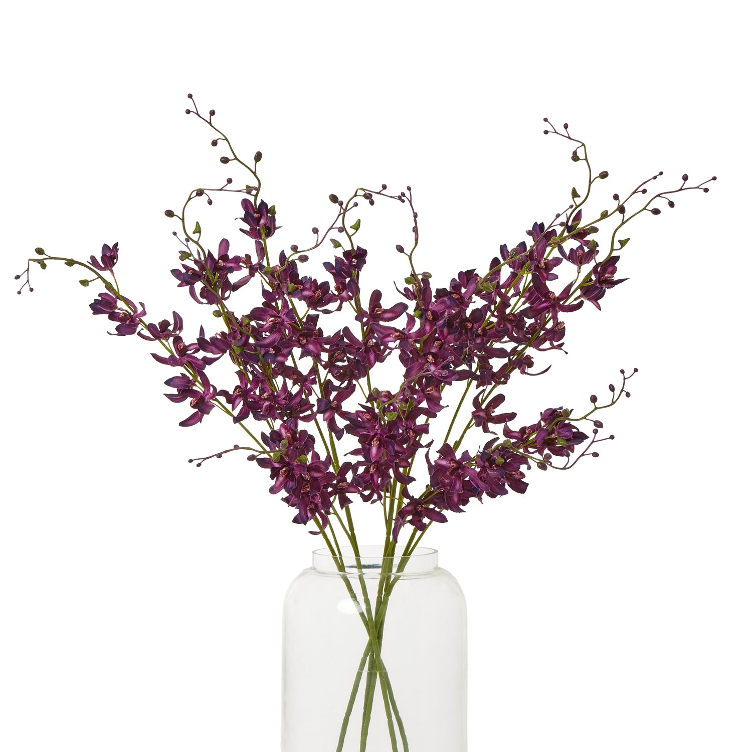 Purple Cymbidium Spray - Skandi London