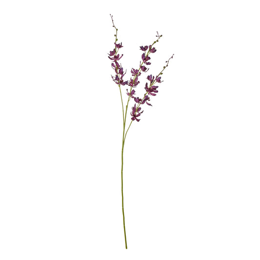 Purple Cymbidium Spray - Skandi London