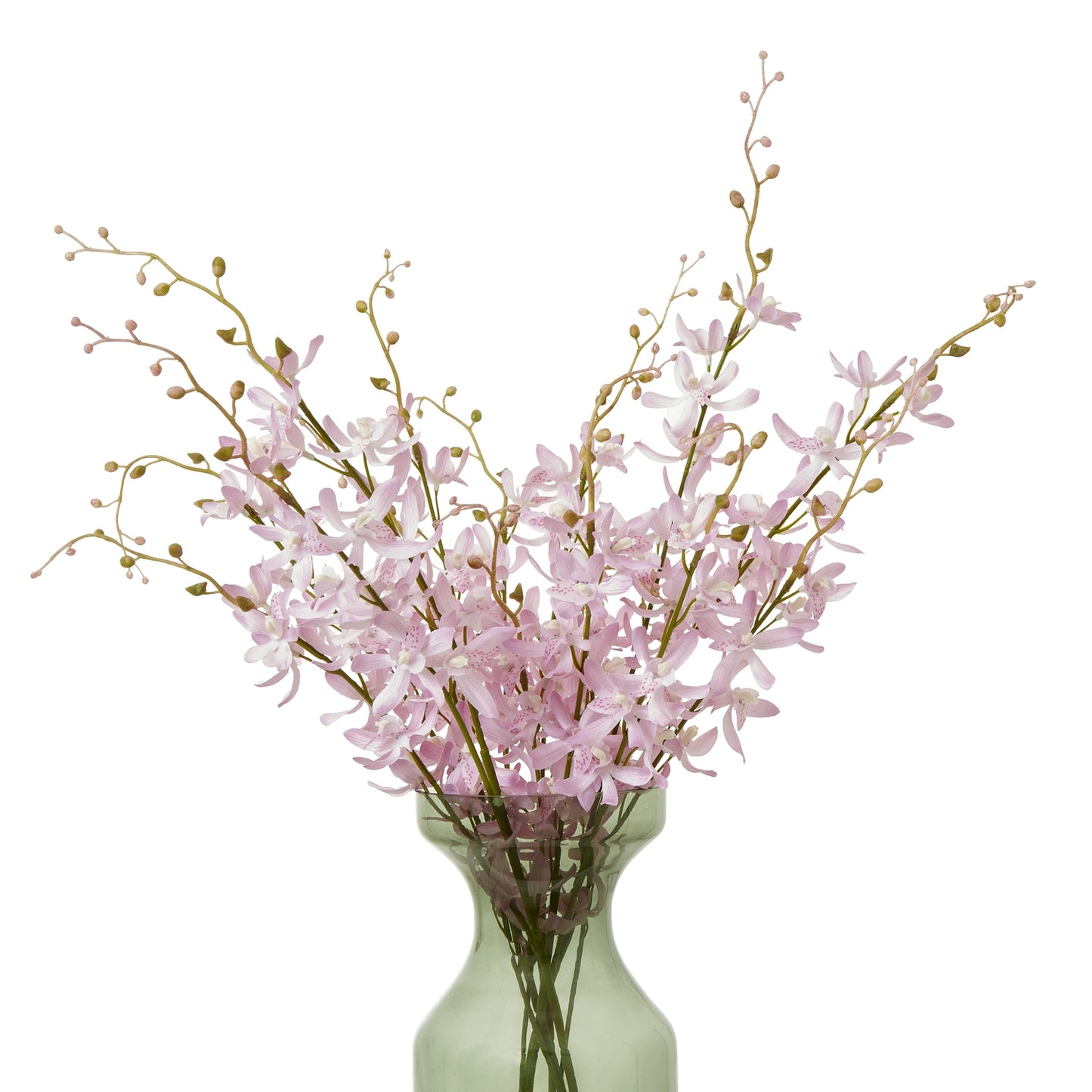 Lilac Cymbidium Spray - Skandi London