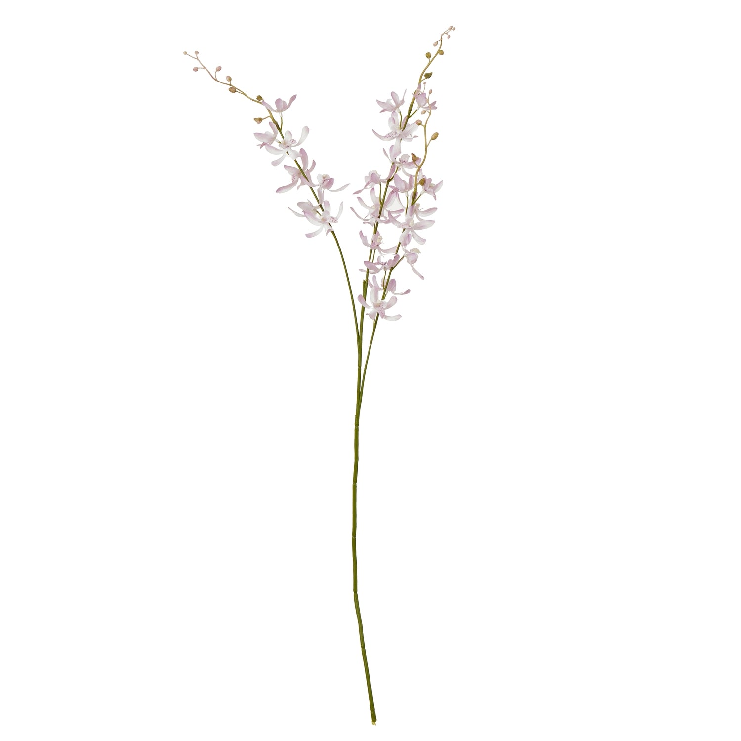 Lilac Cymbidium Spray - Skandi London