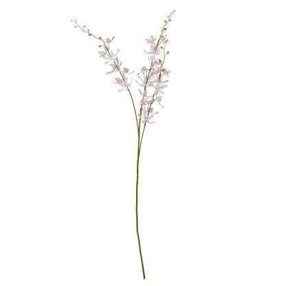 Lilac Cymbidium Spray - Skandi London