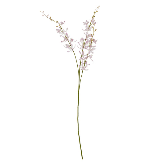 Lilac Cymbidium Spray - Skandi London