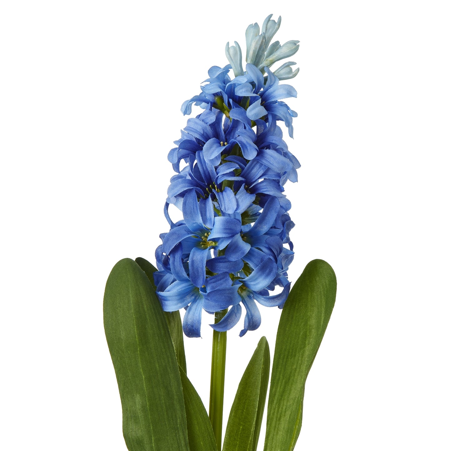 Blue Hyacinth Stem - Skandi London