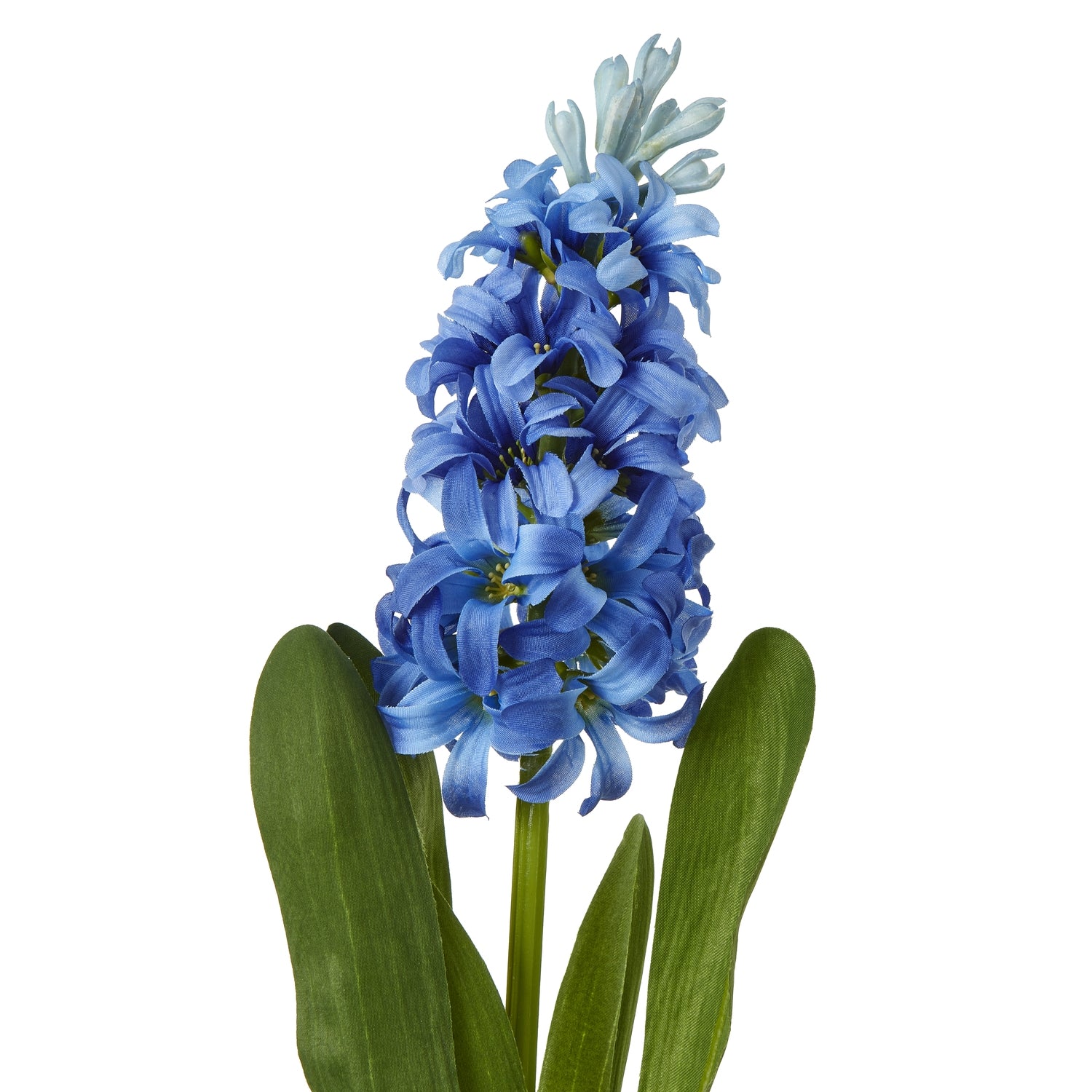 Blue Hyacinth Stem - Skandi London
