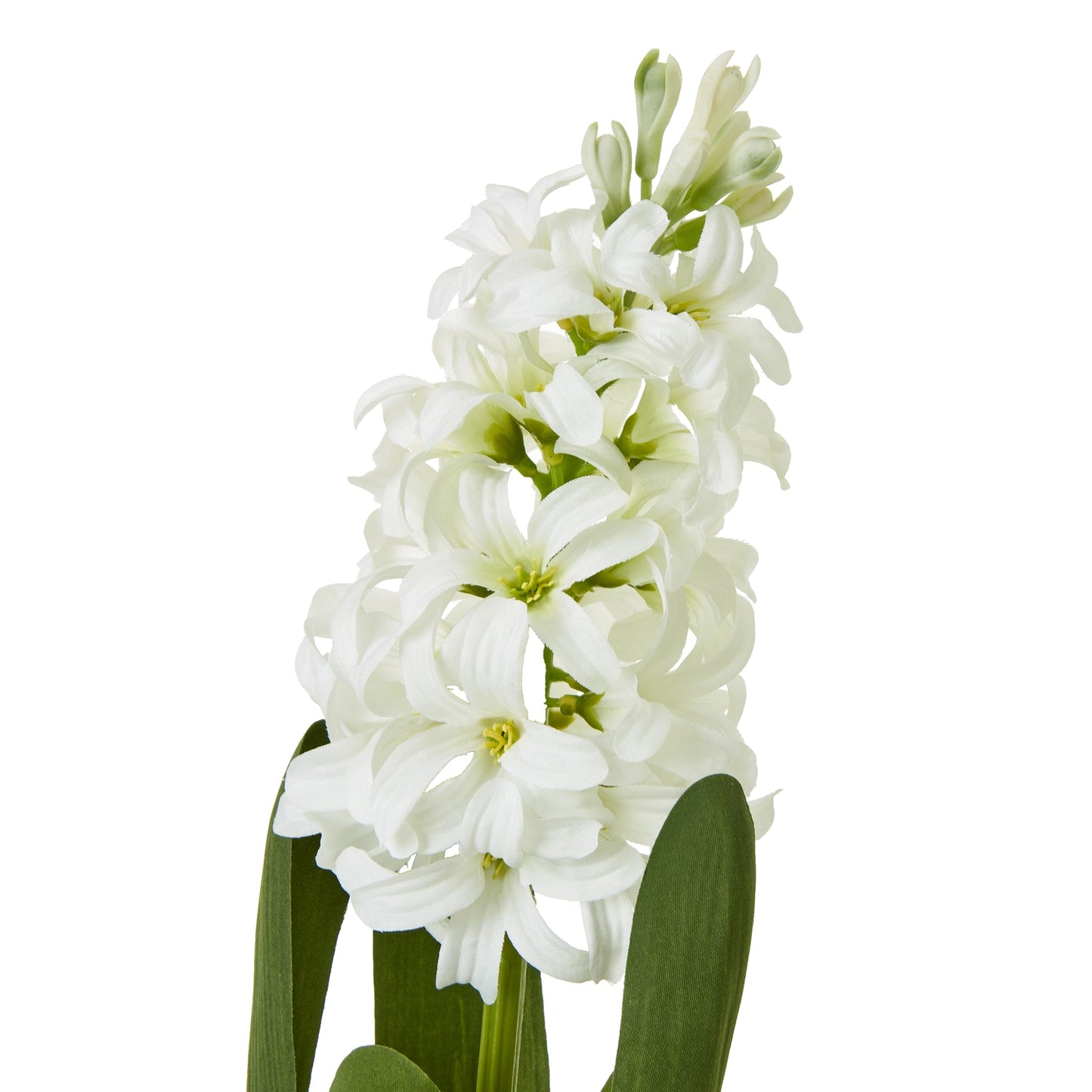 White Hyacinth Stem - Skandi London