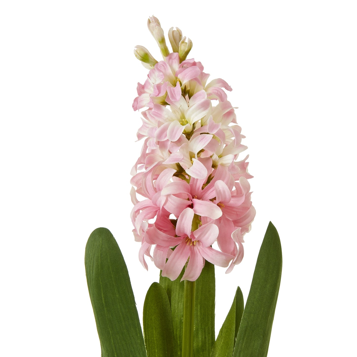 Pink Hyacinth Stem - Skandi London