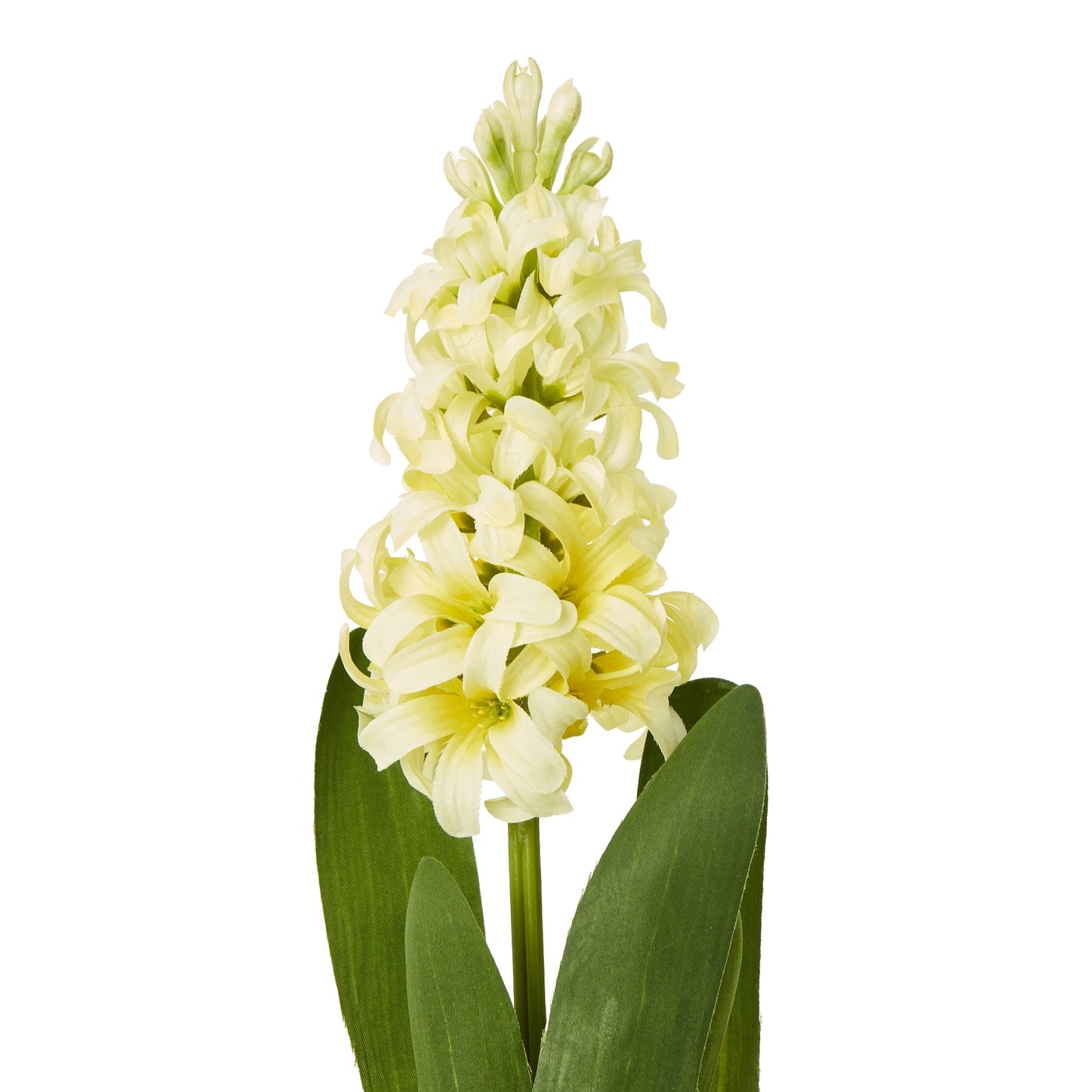 Yellow Hyacinth Stem - Skandi London
