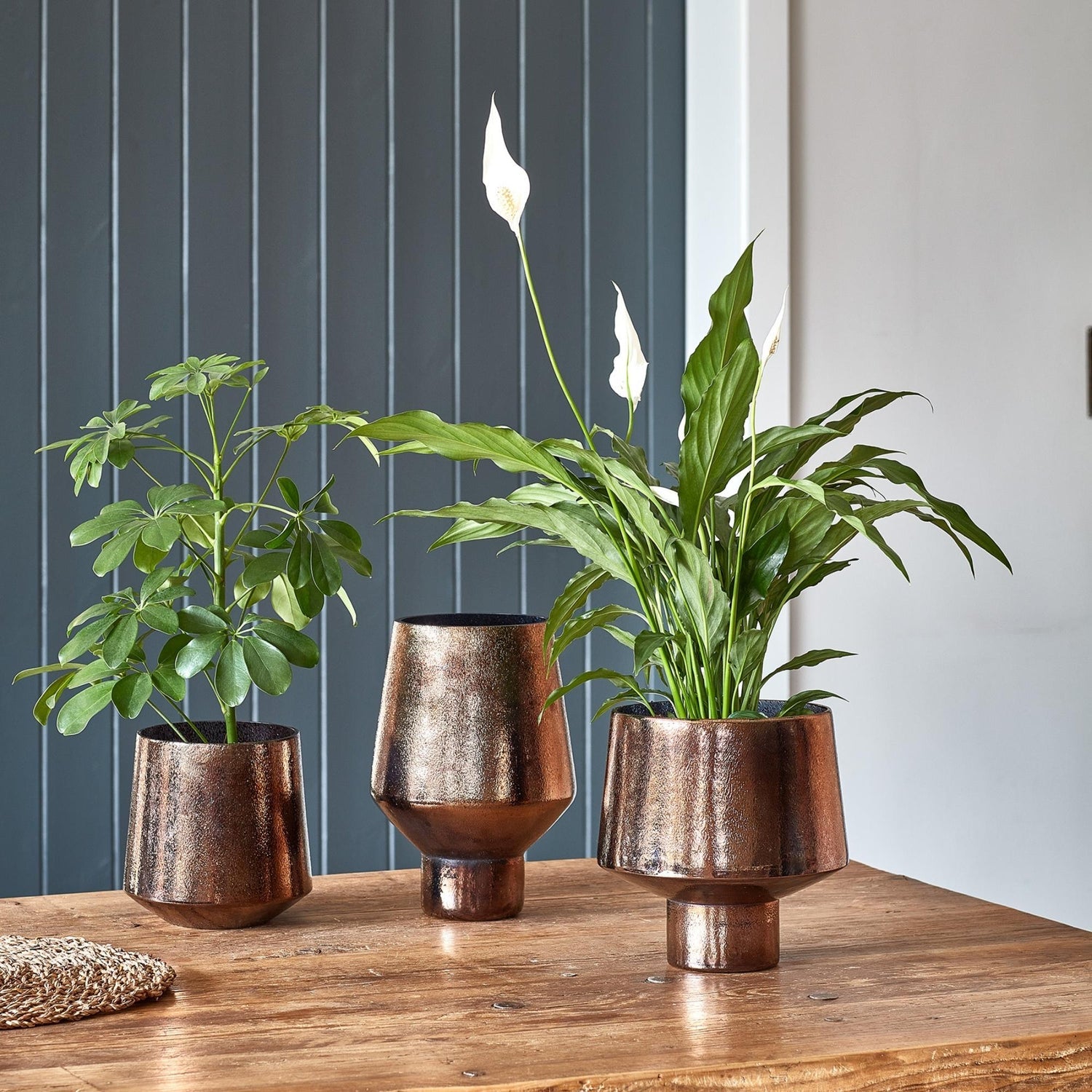 Avald Curved Bronze Planter Medium - Medium - Skandi London