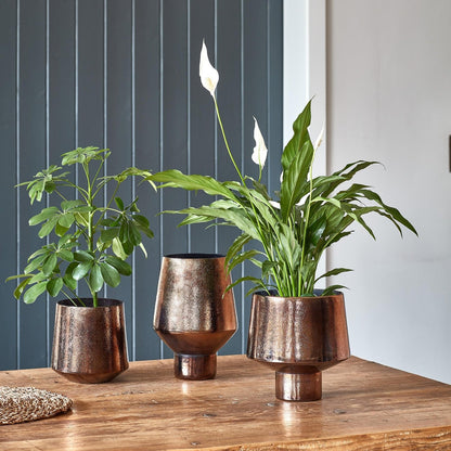 Avald Curved Bronze Planter Medium - Medium - Skandi London