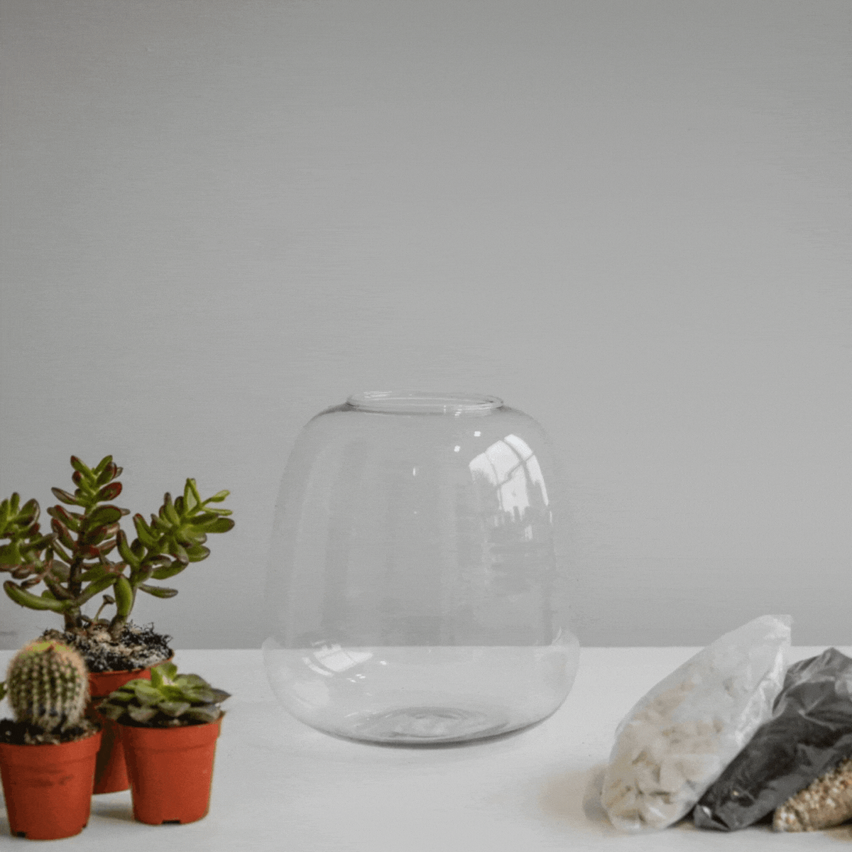 Asker Bowl Terrarium DIY Kit Medium - Medium