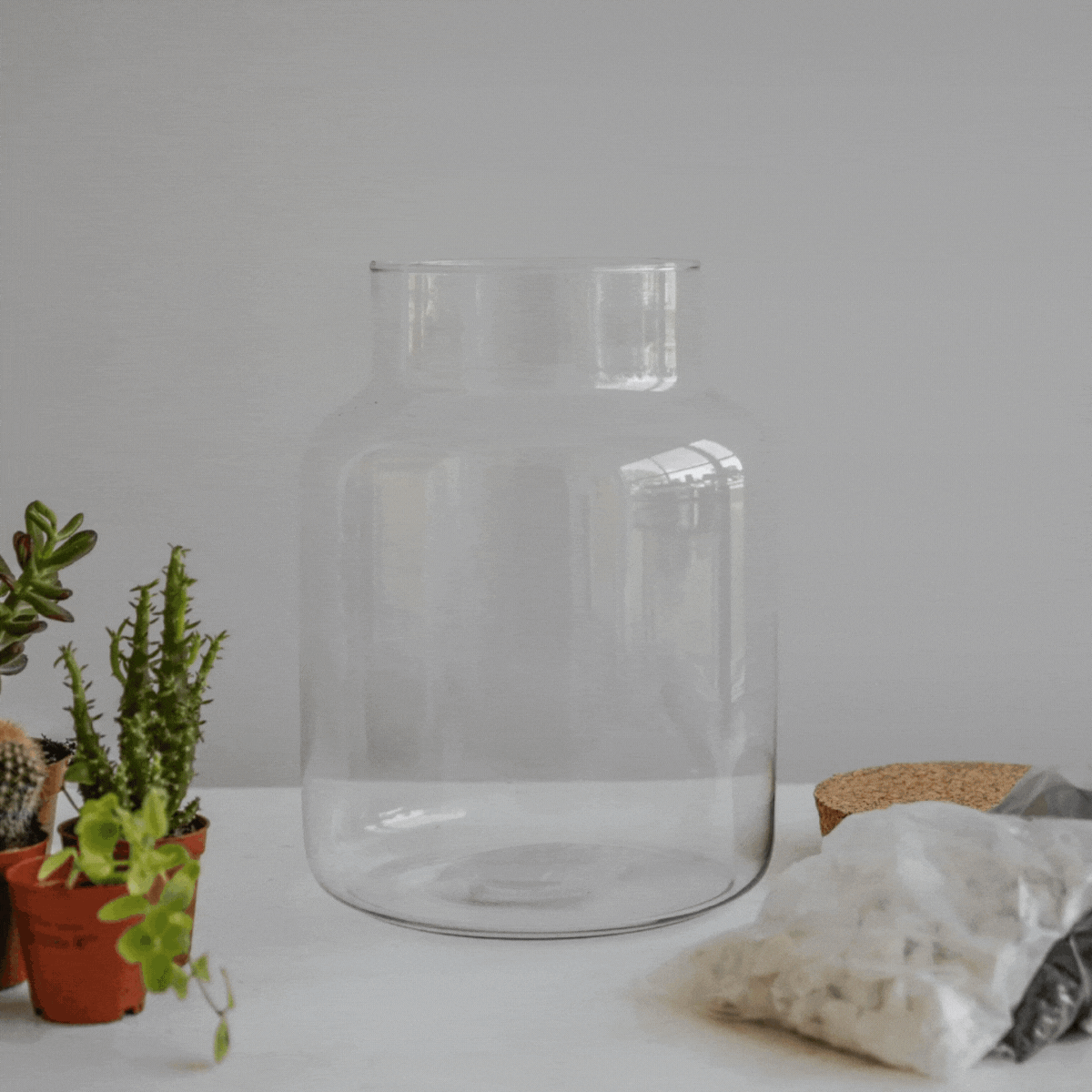 Askvoll Bottle Terrarium DIY Kit Lsrge - Large