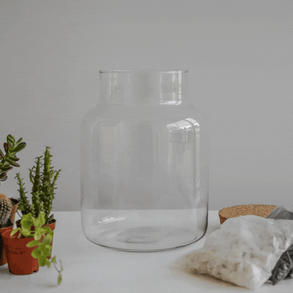 Askvoll Bottle Terrarium DIY Kit Lsrge - Large