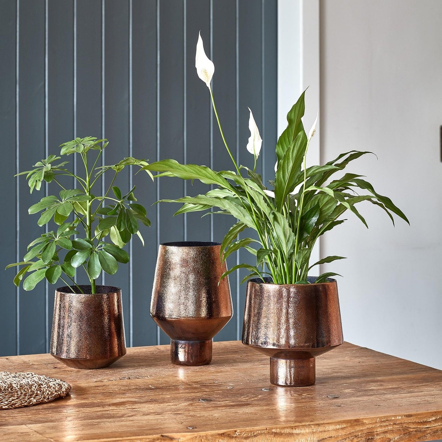 Avald Tall Curved Bronze Vase Tall - Tall - Skandi London