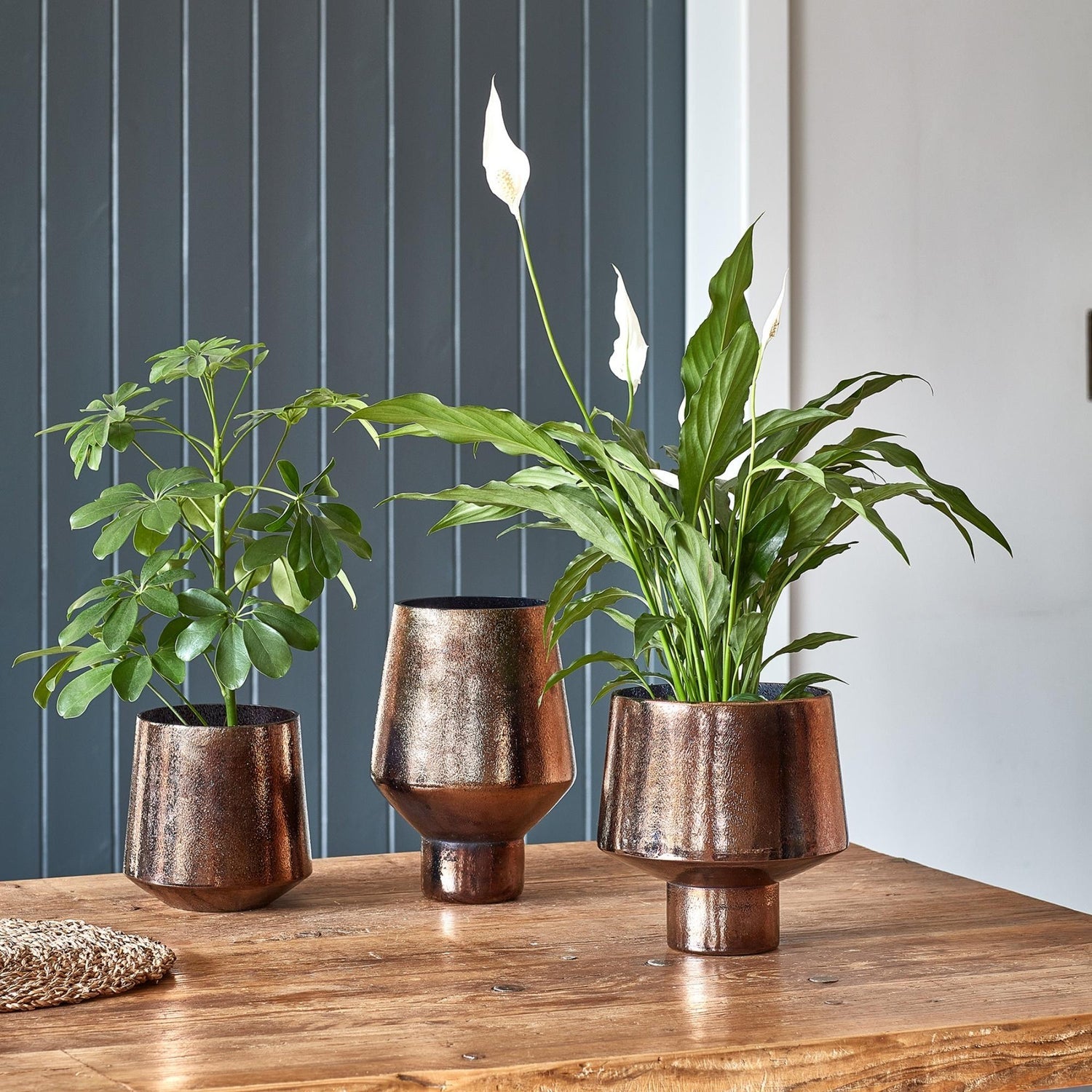 Avald Tall Curved Bronze Vase Tall - Tall - Skandi London
