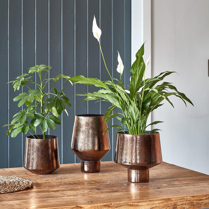 Avald Tall Curved Bronze Vase Tall - Tall - Skandi London