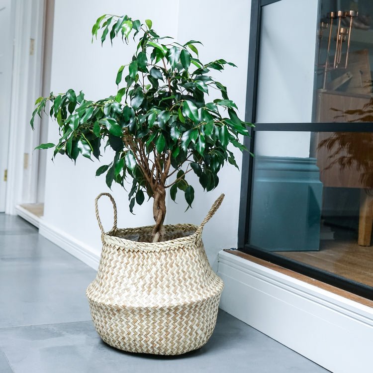 Seagrass Chevron White Lined Basket Medium H30Cm D35Cm - Skandi London