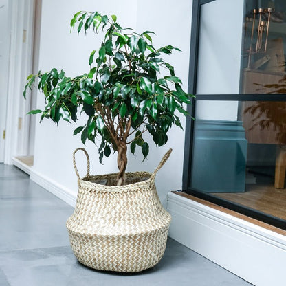Seagrass Chevron White Lined Basket Medium H30Cm D35Cm - Skandi London