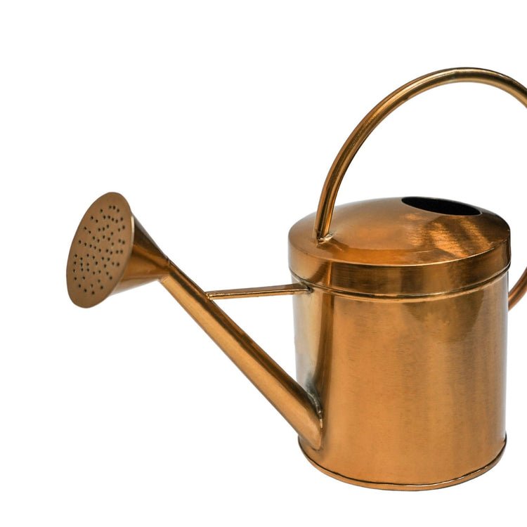 Indoor Kensington Traditional Copper Watering Can H25Cm W40Cm - Skandi London