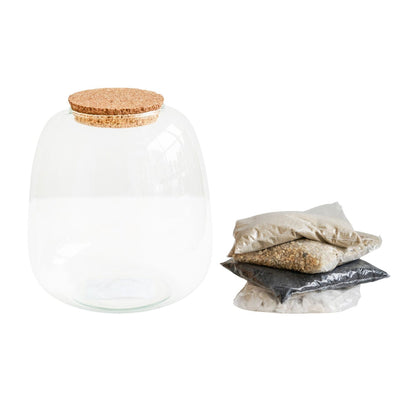 Asker Bowl Terrarium DIY Kit Medium - Medium - Skandi London