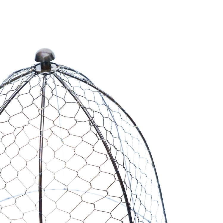 Outdoor Wire Netted Plant Protector Zinc H55cm W47 - Skandi London