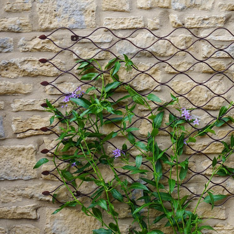Outdoor Honeycomb Trellis Bronze H84cm W62cm - Skandi London
